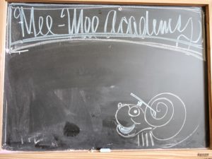 Mee-Mee Academy